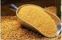 Top Quality Soybeans Meal Available