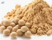 Bulk Price Brazilian Soybean Flours