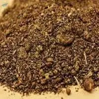Bulk Quantity Rapeseed Meal Top Grade