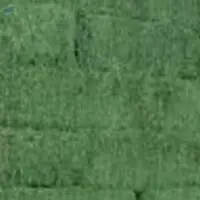 Bulk Alfalfa Hay Animal Feeding Grade