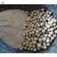 Hot Sale Lower Price Best White Pepper