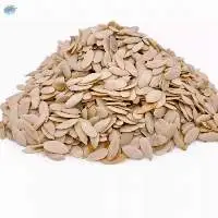 100% Natural Dried Peeled Melon Seeds
