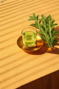 Stevia Green Tea
