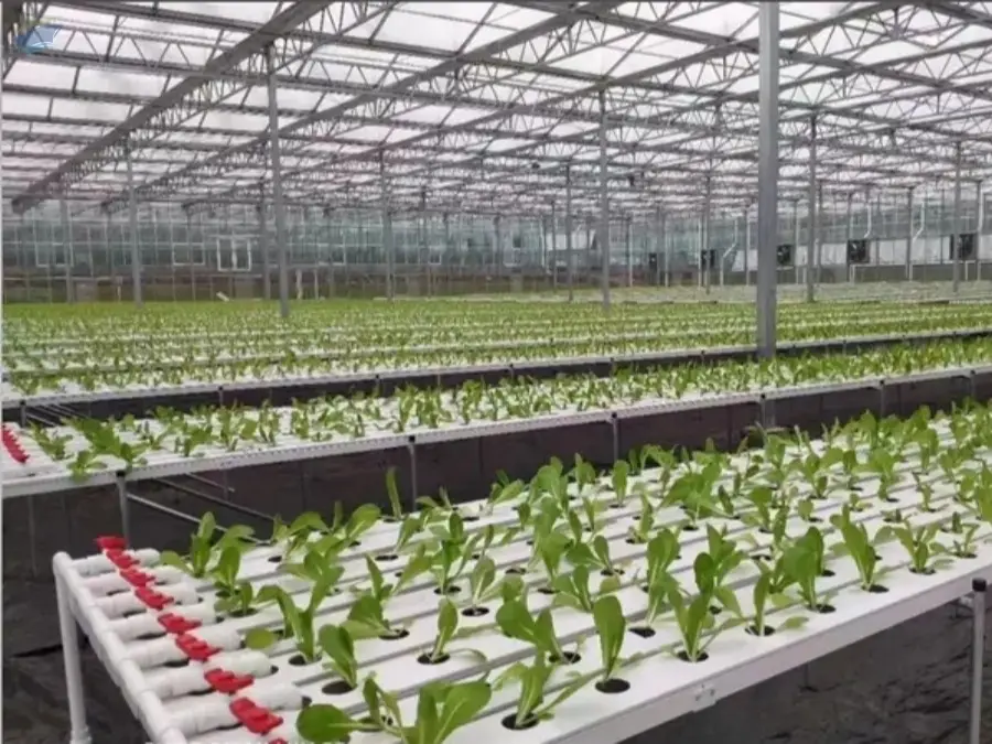 Commercial Hydroponic Supplies
