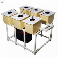 Dutch Bucket System