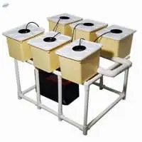 Dutch Bucket System