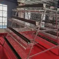 High Quality Layer Cage