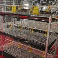 High Quality Broiler Cage
