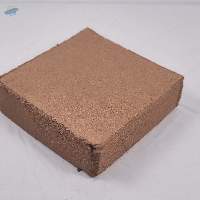 Premium Export Grade Natural Coco Peat Blocks