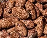 Premium Export Grade Cocoa Beans