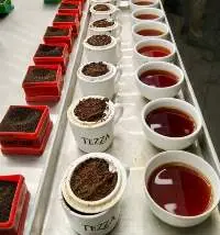Black Tea , Green Tea