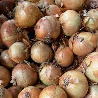 White Onion