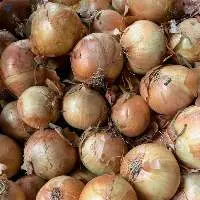White Onion