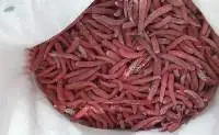 Frozen Chilli