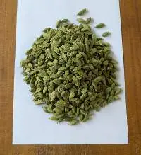 Indian Green Cardamom