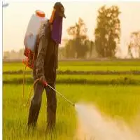 Pesticide