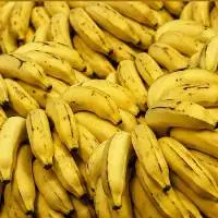 Premium Export Grade Nanjangud Banana (Rasabale)