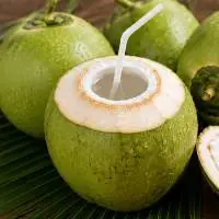 Premium Export Quality Fresh Tender Coconut