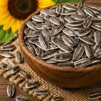 Premium Export Grade Sunflower Seeds