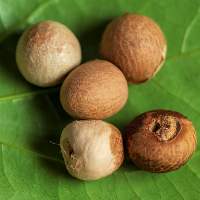 Arecanut (Sirsi Supari)