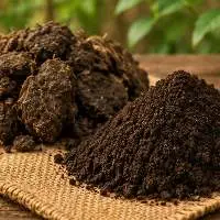 Cow Dung Powder And Vermi Compost