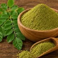 Premium Pure, Plant Based Moringa Powder