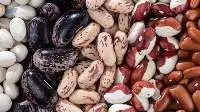 Export Grade, Premium Dried Kidney Beans