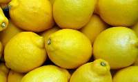 Premium Fresh Lemons for Juice, Culinary Use