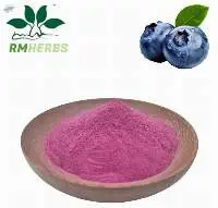 High-Quality Blueberry Powder