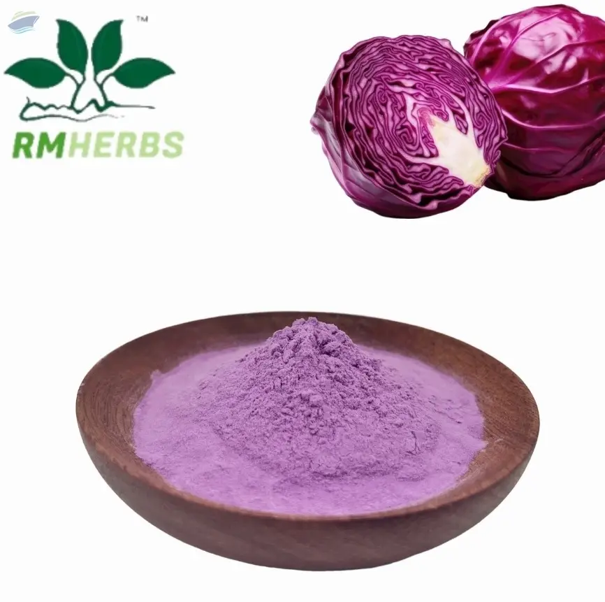 Premium Purple Cabbage Powder