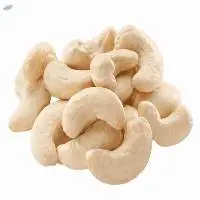 Good Quality Cashew Nut Raw