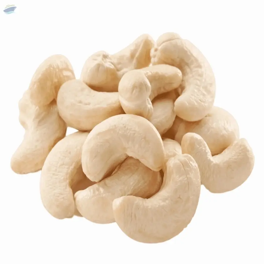 Good Quality Cashew Nut Raw