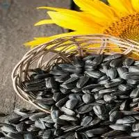 Roasted Sunflower Seeds