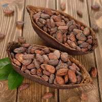 Premium Cocoa Beans