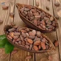 Premium Cocoa Beans