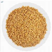Durum Wheat Grain For Cooking