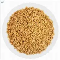 Durum Wheat Grain For Cooking
