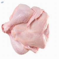 Frozen Chicken 