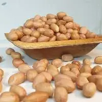 Fresh Groundnuts