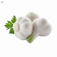 Fresh Indian White Garlic