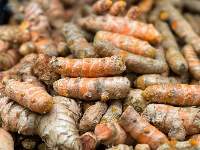 Fresh Turmeric 