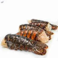 Frozen Lobster Seafood