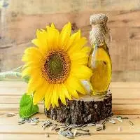 Hot Sale Organic Refined Sunflower Cooking Oil