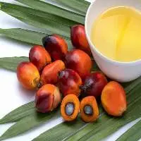 Top Quality Palm Oil 