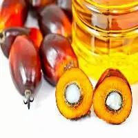 High Quality Organic Palm Oil For Sale