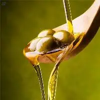 Organic Olive Oil 
