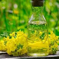 High Quality Pure Refined Canola Oil