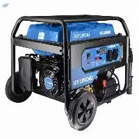 Portable Generators  
