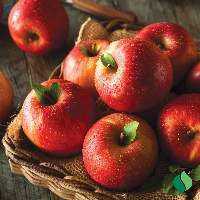 Premium Fresh Apple Wholesale Price