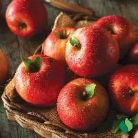 Premium Fresh Apple Wholesale Price